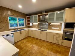 The Arcadia (D11), Condominium #437515541